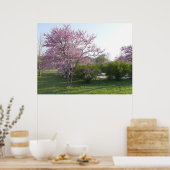 Redbud Tree - El Dorado Lake Kansas Poster (Keuken)
