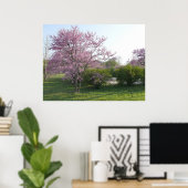 Redbud Tree - El Dorado Lake Kansas Poster (Thuiskantoor)