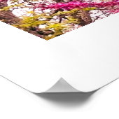 REDBUD TREE POSTER (Hoek)