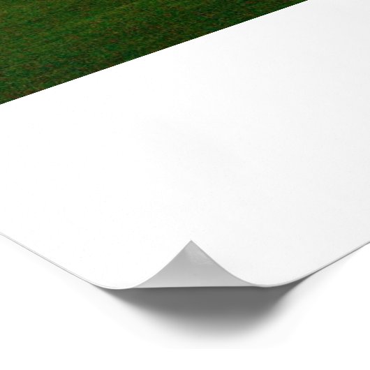 REDBUD TREE poster (Hoek)