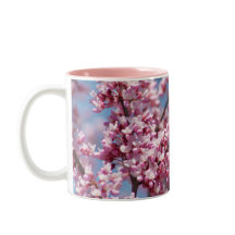 Redbud Tree Roze Bloemen Bijen