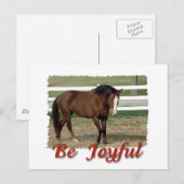 Redcued Morgan Horse: Wees blij Briefkaart (Voorkant / Achterkant)