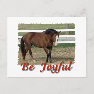 Redcued Morgan Horse: Wees blij Briefkaart