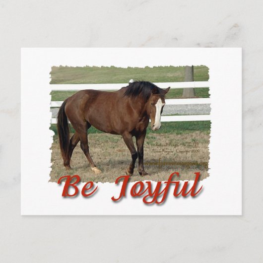 Redcued Morgan Horse: Wees blij Briefkaart (Voorkant)