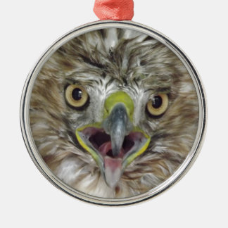 Redde en vrijgelaten Hawk Metalen Ornament