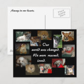 Redde honden briefkaart (Voorkant / Achterkant)