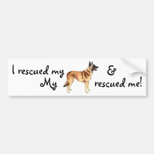 Redding Belgische Malinois Bumpersticker