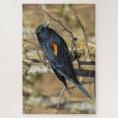 Redding Blackbird Legpuzzel (Verticaal)