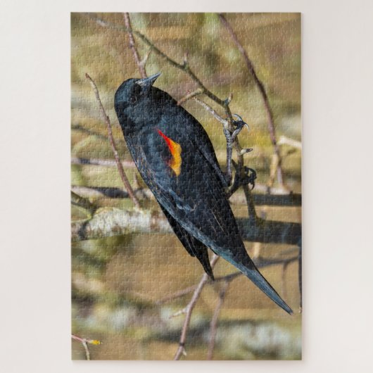 Redding Blackbird Legpuzzel (Verticaal)