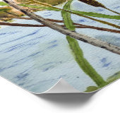 Redding Blackbird Poster (Hoek)