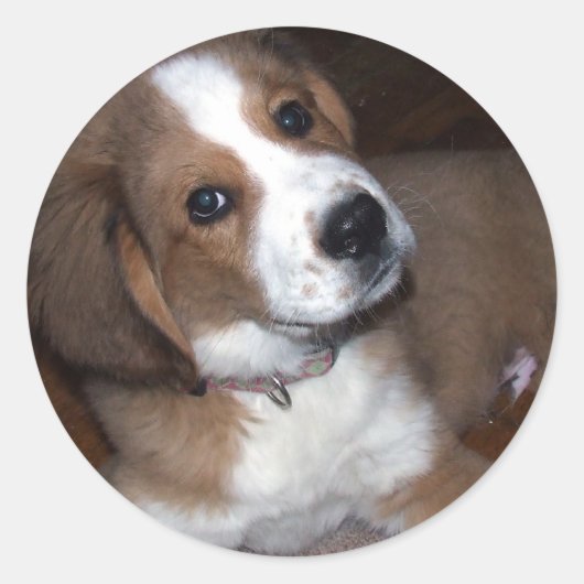 Redding Dog Buddy betreurt u Ronde Sticker (Voorkant)