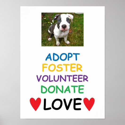 Redding Dog Poster, adoptie Love Poster (Voorkant)