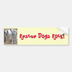 Redding Dogs Rock! Bumpersticker