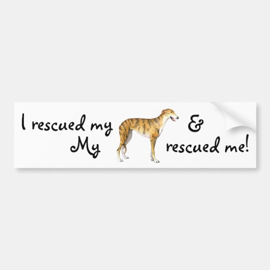 Redding Greyhound Bumpersticker (Voorkant)