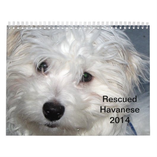 Redding Havanese Pups 2014 Agenda Kalender (Hoes)
