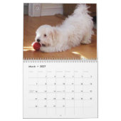 Redding Havanese Pups 2014 Agenda Kalender (Mar 2027)