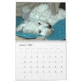 Redding Havanese Pups 2014 Agenda Kalender (Jan 2027)