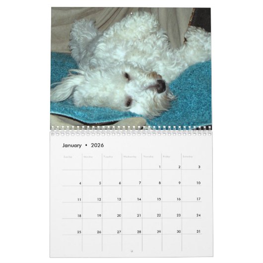 Redding Havanese Pups 2014 Agenda Kalender (Jan 2026)