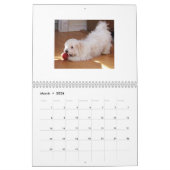 Redding Havanese Pups 2014 Agenda Kalender (Mar 2026)