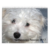 Redding Havanese Pups 2014 Agenda Kalender (Hoes)
