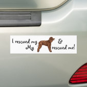 Redding Iers waterspaniel Bumpersticker (Op auto)