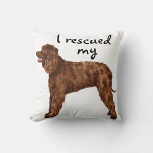 Redding Iers waterspaniel Kussen