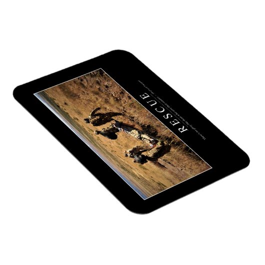 Redding: Inspirerend Citaat 1 Magneet (Rechterzijde)