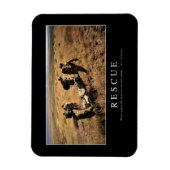 Redding: Inspirerend Citaat 1 Magneet (Verticaal)