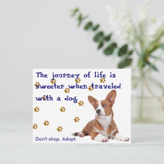 Redding. Niet winkelen. Briefkaart (Staand voorkant)