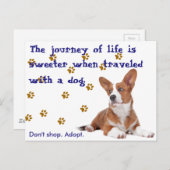 Redding.  Niet winkelen. Briefkaart (Voorkant / Achterkant)