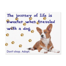 Redding.  Niet winkelen.