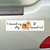 Redding Pommeren Bumpersticker (Op auto)