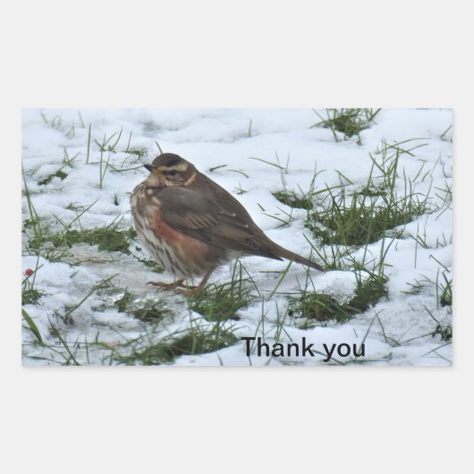 Redding Rechthoekige Sticker (Voorkant)