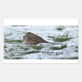 Redding Rechthoekige Sticker