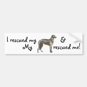 Redding Scottish Deerhound Bumpersticker