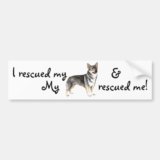 Redding Swedish Vallhund Bumpersticker (Voorkant)
