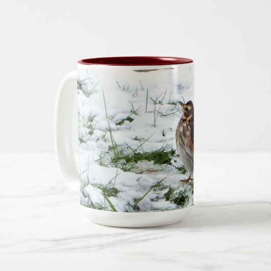 Redding Tweekleurige Koffiemok (Voorkant links)