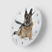 Redding van de Duitse herdershond Shepherd Dog in  Ronde Klok (Hoek)