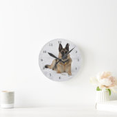 Redding van de Duitse herdershond Shepherd Dog in  Ronde Klok (Huis)