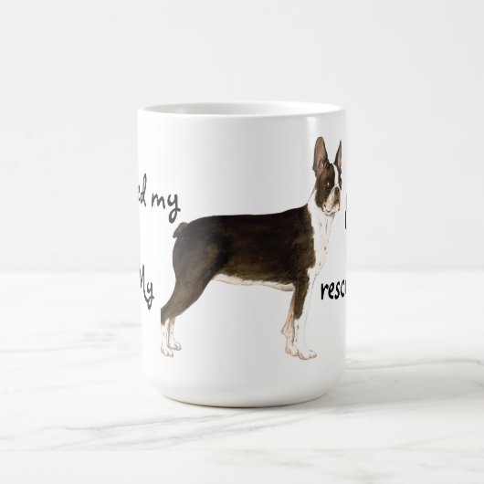 Redding van de Mok van de Coffee van Boston Terrie (Center)