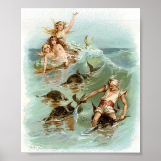  - Redding voor Mermaids Cheer Dolphin, Poster (Voorkant)