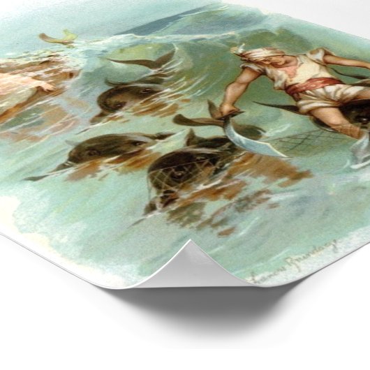 - Redding voor Mermaids Cheer Dolphin, Poster (Hoek)