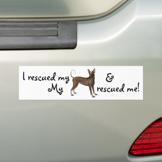 Redding Xoloitzcuintli Bumpersticker (Op auto)