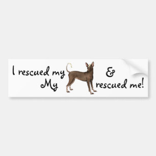 Redding Xoloitzcuintli Bumpersticker