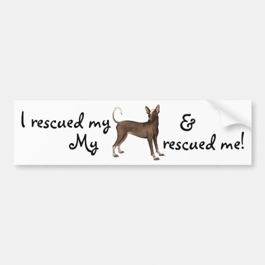 Redding Xoloitzcuintli Bumpersticker (Voorkant)