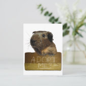 Reddingsactie Guinee-Bissau Briefkaart (Staand voorkant)