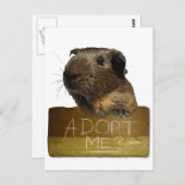 Reddingsactie Guinee-Bissau Briefkaart (Voorkant / Achterkant)