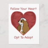 Reddingsartikelen voor Cocker Spaniel Briefkaart (Voorkant)