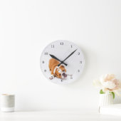 Reddingsboxer Puppy  Ronde Klok (Huis)