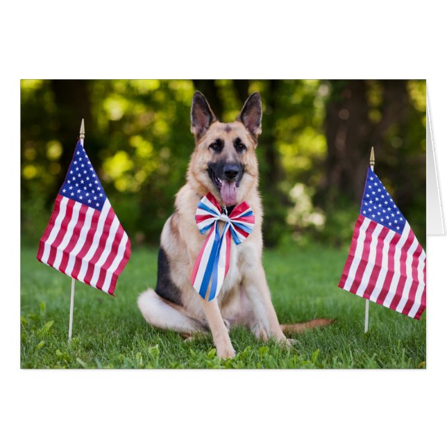 Reddingshond "Hawk" (Voorkant Horizontaal)